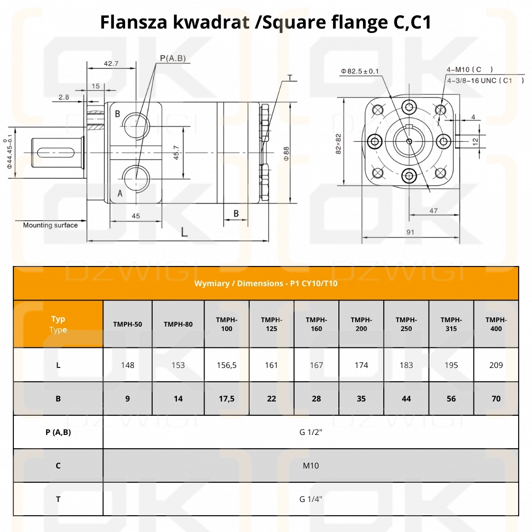 Hydraulic motor TMPH-160 P1CY10/T10