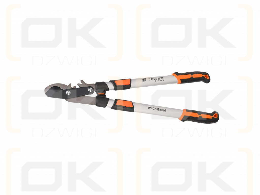 PROFESSIONAL scissor pruner - two-handed telescopic, aluminum, Teger