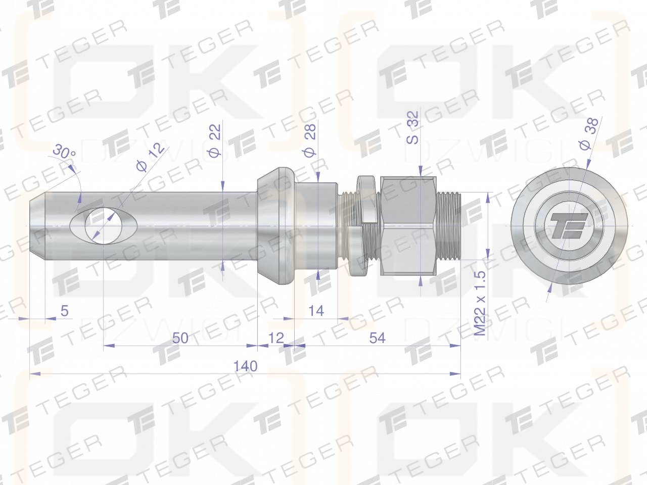 Sworzeń z gwintem T-SG22502240140.1 fi 22/50 mm M22x1.5/40 mm  140 mm TEGER