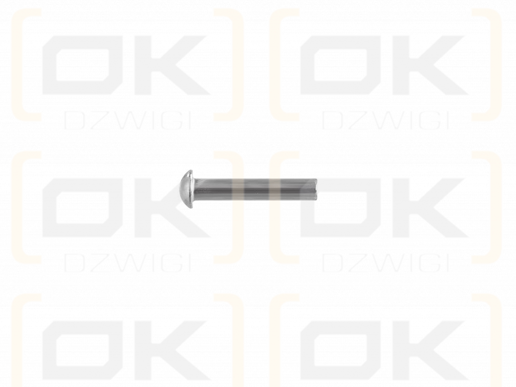 Satz Stahlkugelnieten (2x16mm), DIN660, (100 Stück), Teger