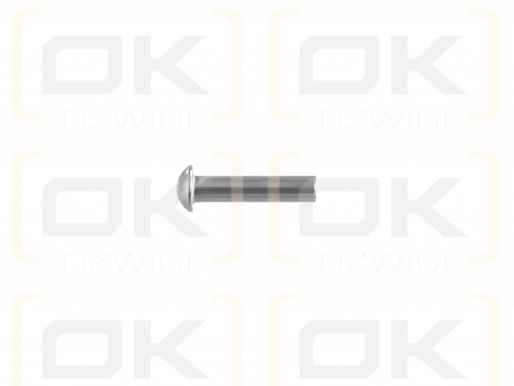 Set of steel spherical rivets (3x16mm), DIN660, (100 pcs), Teger