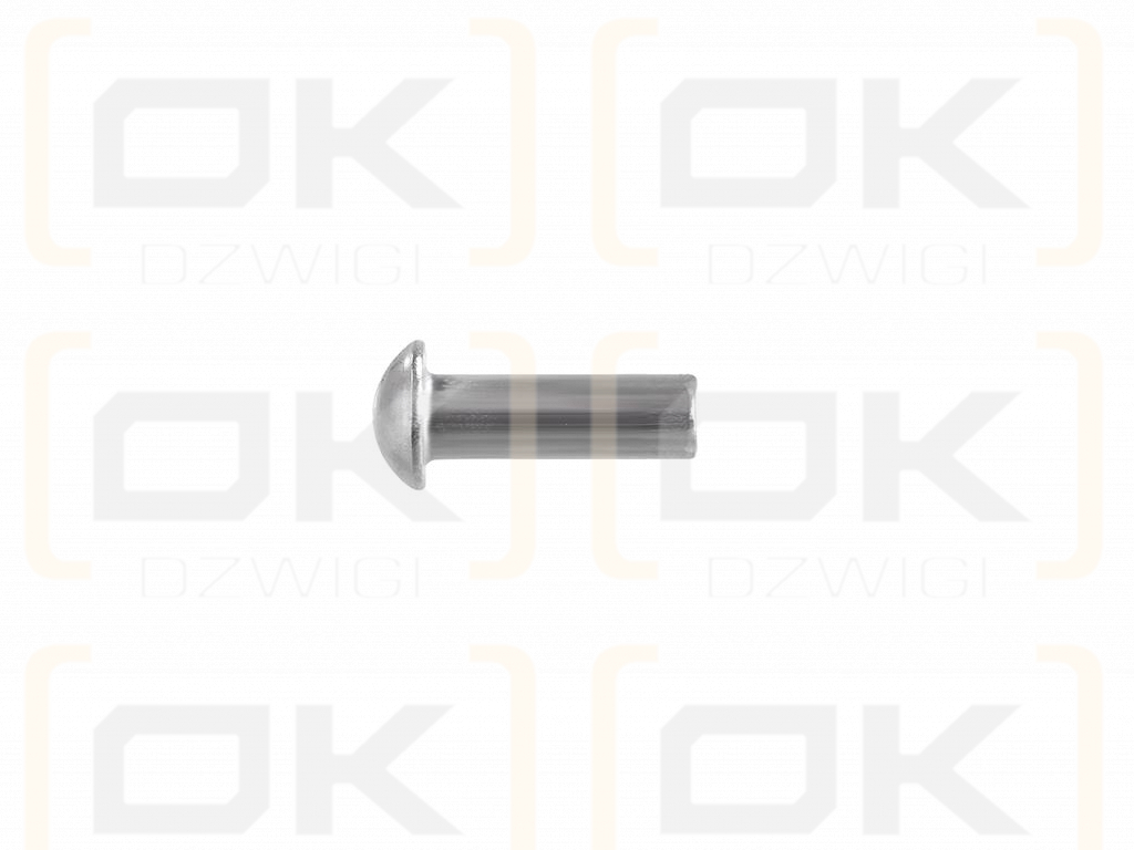 Set of steel spherical rivets (5x16mm), DIN660, (100 pcs), Teger