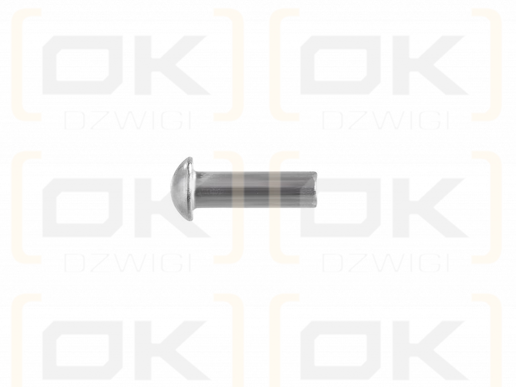 Set of steel spherical rivets (6x16mm), DIN660, (100 pcs), Teger