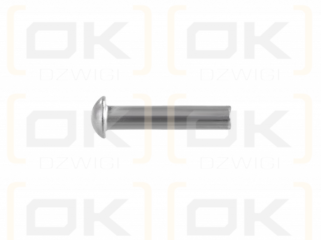 Set of steel rivets, spherical, (6x30mm), DIN660, (100 pcs), Teger