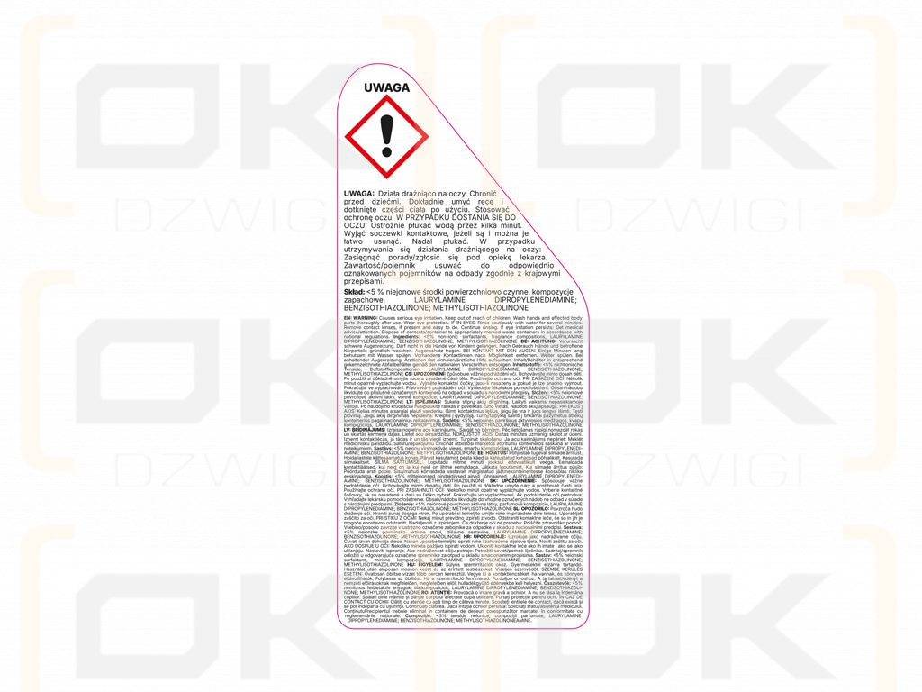 Car window and mirror cleaner - PROFESSIONAL, 750ml - atomizer, Teger