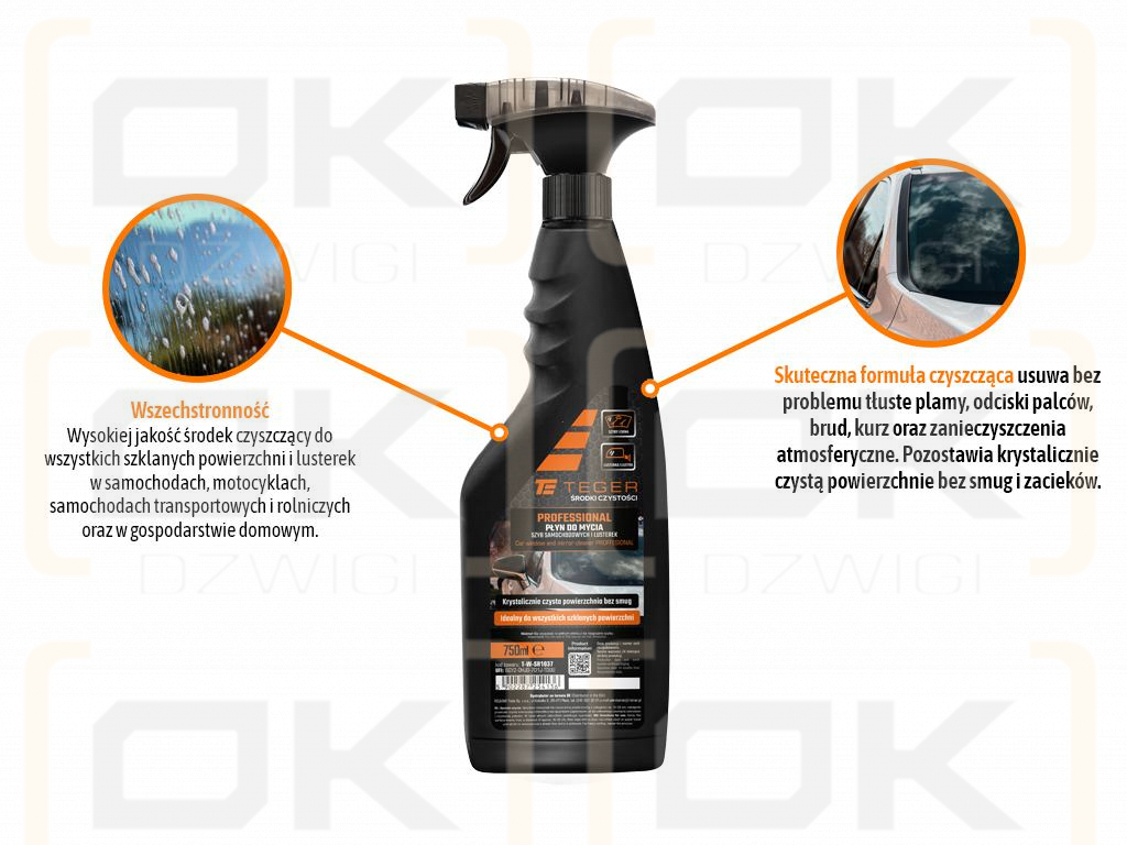 Car window and mirror cleaner - PROFESSIONAL, 750ml - atomizer, Teger