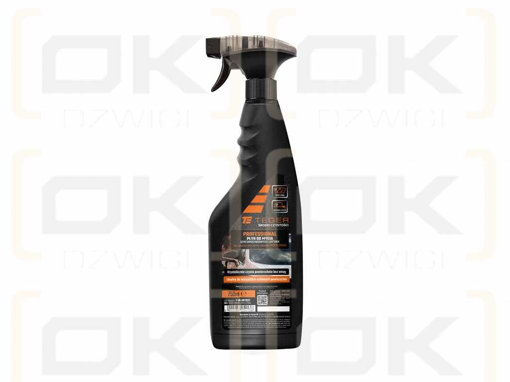 Car window and mirror cleaner - PROFESSIONAL, 750ml - atomizer, Teger