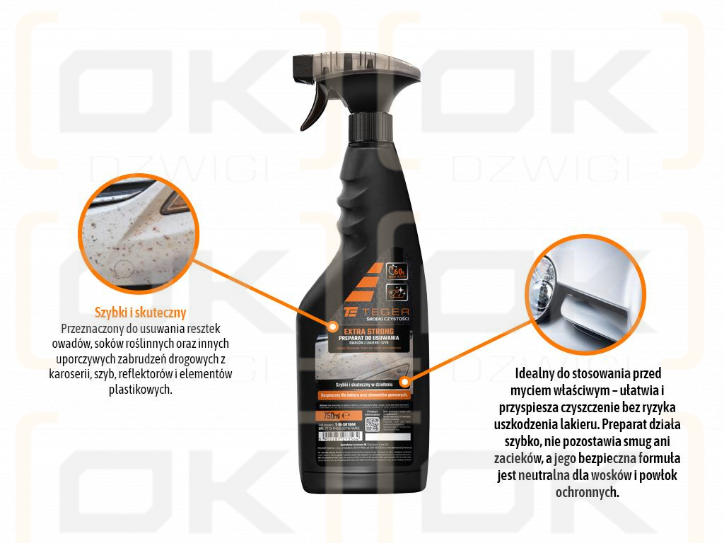 Quitainsectos EXTRA FUERTE para pintura y vidrio, 750 ml - atomizador, Teger