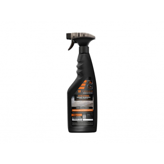 Quitainsectos EXTRA FUERTE para pintura y vidrio, 750 ml - atomizador, Teger