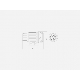 Wtyczka nowy typ 13 ( pin) biegunowe DIORA