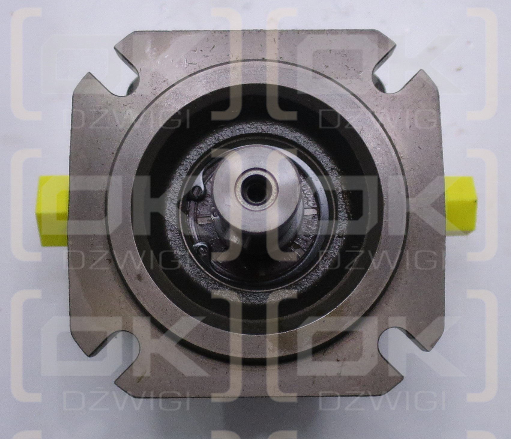 PGF2-2X/008RE01VE4 INTERNAL