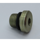 ЗАГЛУШКА ЗАГЛУШКА 1/4'' BSP