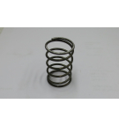 ВЕСНА - ПОДРОБНОСТИ НЕТ...