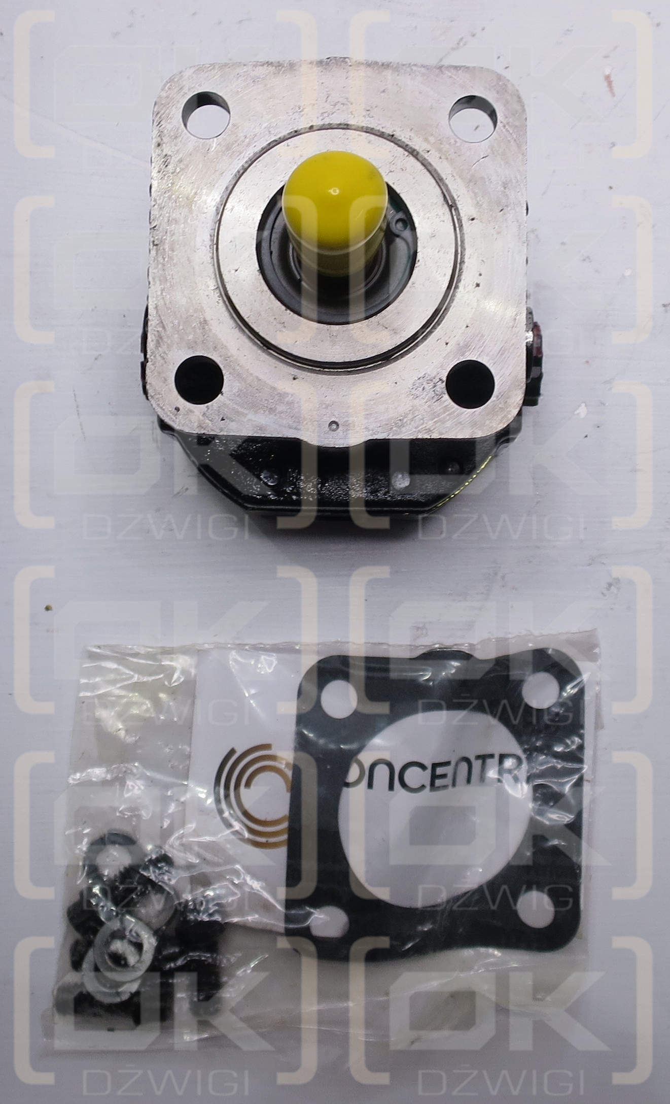 BOMBA DE ENGRANAJES GC DE 4 US GPM @ 3600RPM