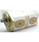 W15A2-3838R5D26N014 TANDEM PUMP C/W