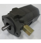 22 US GPM @ 3600 GC HI-LOW CI G PM