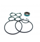 W600 BI-ROTATIONAL MOTOR SEAL KIT