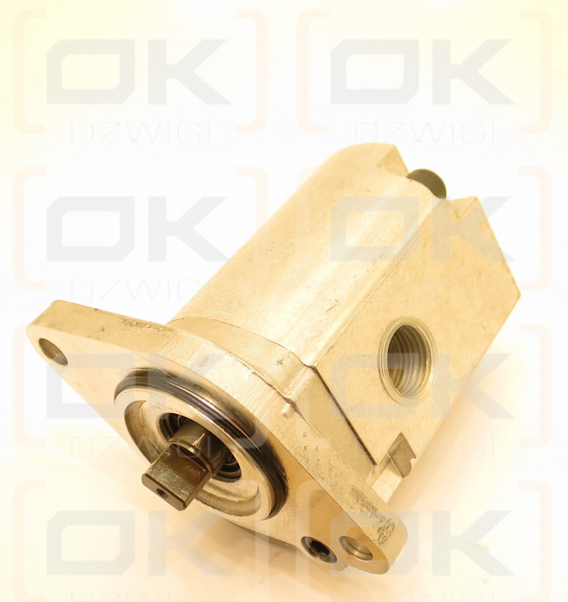 PLP10.6.3SO-C6P8-HGD/GC NE 2P PUMPE
