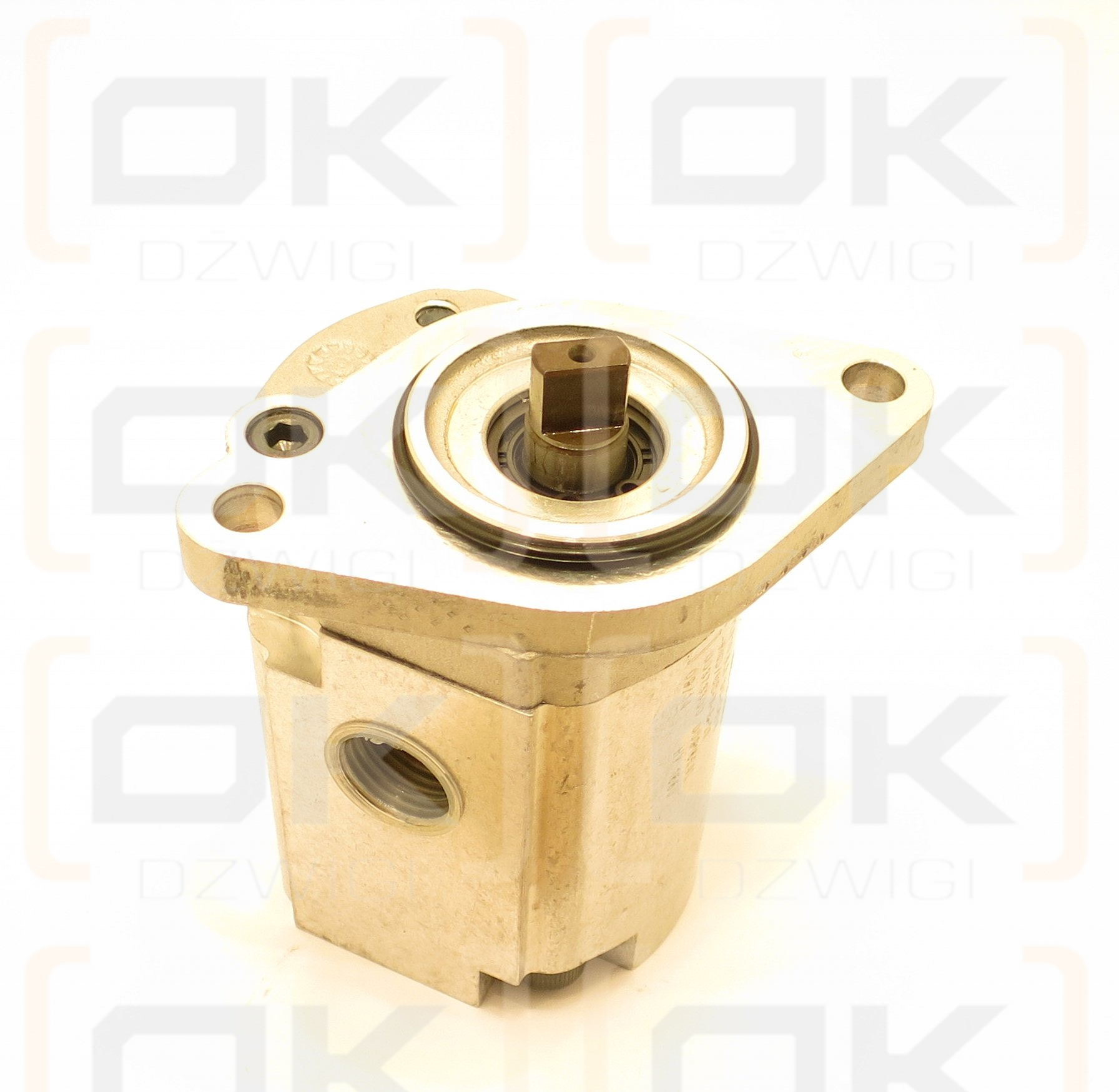 PLP10.6.3SO-C6P8-HGD/GC NE 2P PUMPE