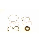 FP30 PUMP SEAL KIT