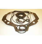 70442 PUMP SEAL KITS