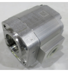 REPLACES P1-9MD6 NPT PORTS