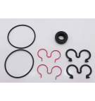 CASSAPPA PLP10 DICHTUNGSSATZ**