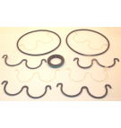 P2APJ 1900 PLAIN BEARING SEAL KIT**