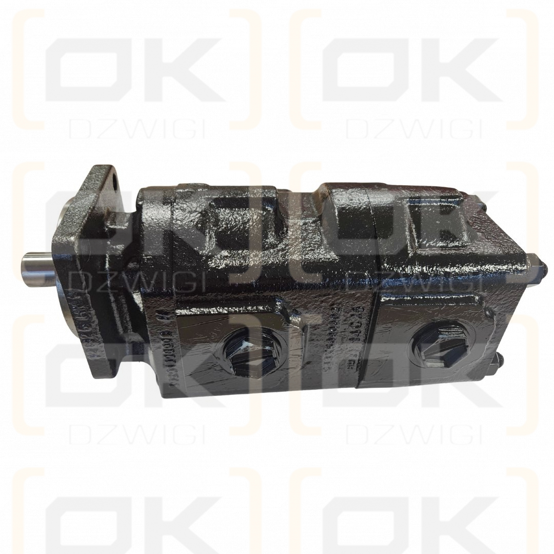 Bomba hidráulica de engranajes de dos secciones Hydreco David Brown X1A50335033/089306/1C