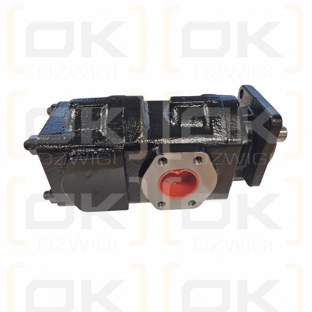Bomba hidráulica de engranajes de dos secciones Hydreco David Brown X1A50335033/089306/1C