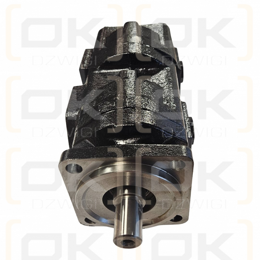 Bomba hidráulica de engranajes de dos secciones Hydreco David Brown X1A50335033/089306/1C