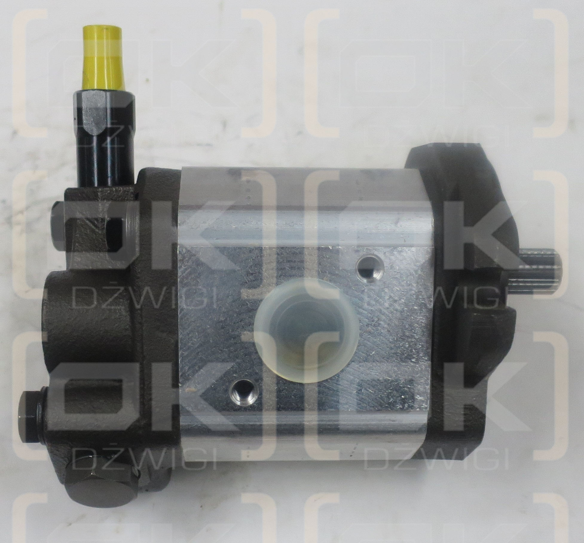 1L35DX99RC23K61 NISSAN-ZAHNRAD**