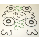 550/LG/36988/002 SEAL KIT TO