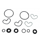 SEALPACK 550LG30876 SP2/250