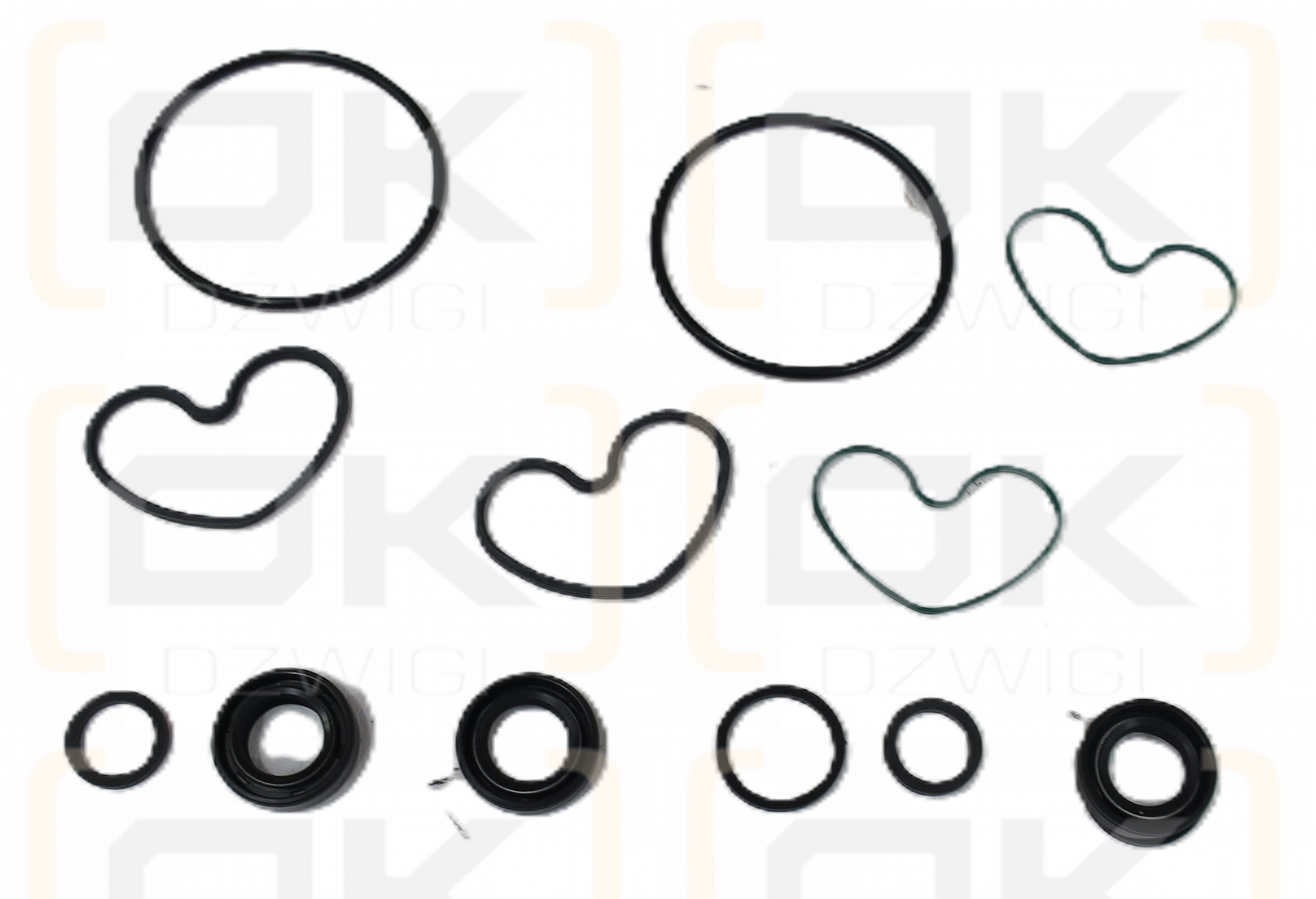 SEALPACK 550LG30876 SP2/250