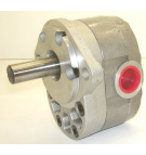 116YC001701-LF WEBSTER