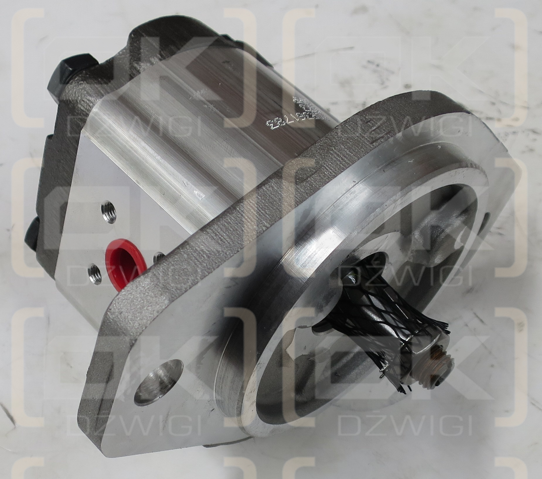 Bomba de engranajes 1PF2G240/011LC20KC.S103