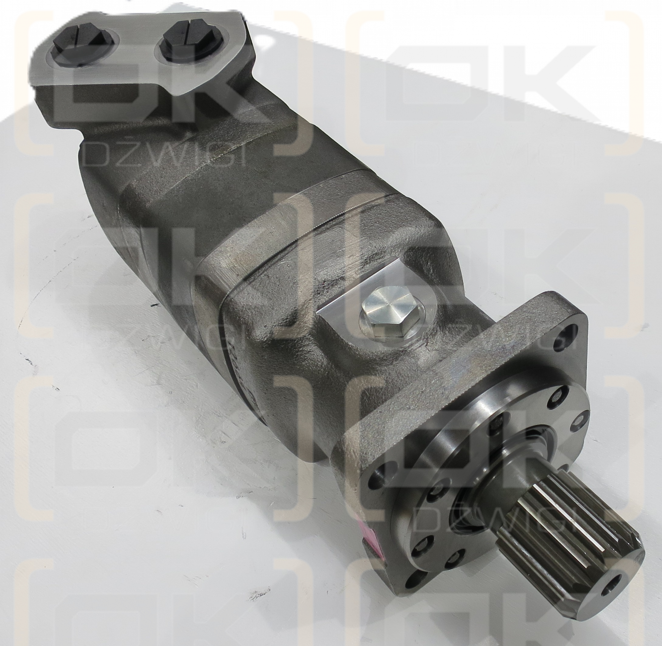 CHAR-LYNN 119-1035-003