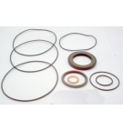 GLS GEOLINK SEAL KIT