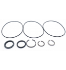 PARKER NICHOLS SERIES 110A SEAL KIT