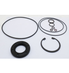EATON 420 SERIES / 421AK SEAL KIT