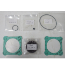 45.56 63CC/REV BENT AXIS SEAL KIT