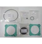 107 &125CC/REV BENT AXIS SEAL KIT