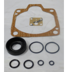 DICHTUNGSSATZ PASSEND ZU PSV10-C1A-A210