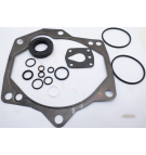 PVE19 / 21 DICHTSATZ (VITON WELLE S)