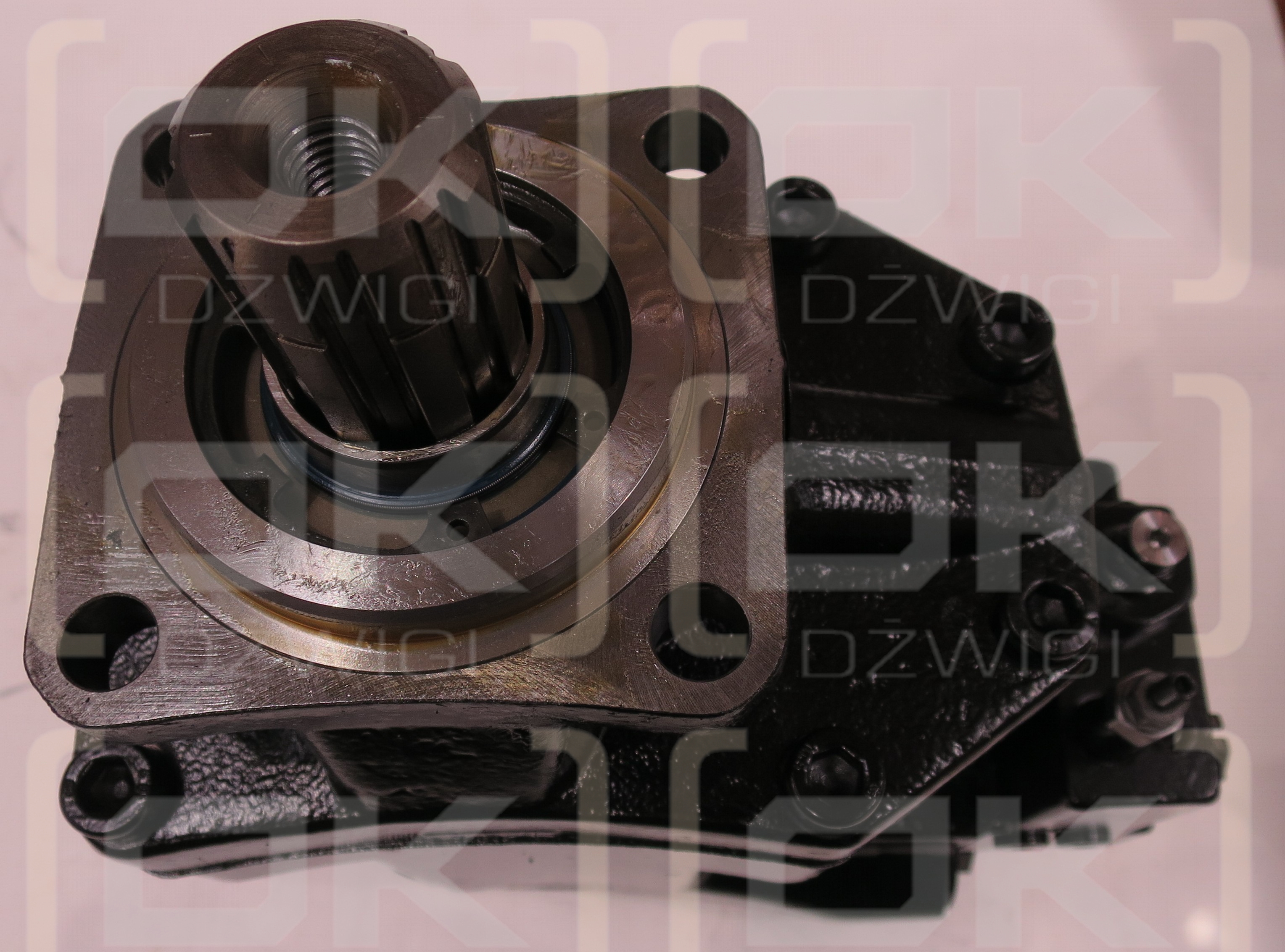 VP1-045-LG-ZP-T-000-350/25-LS