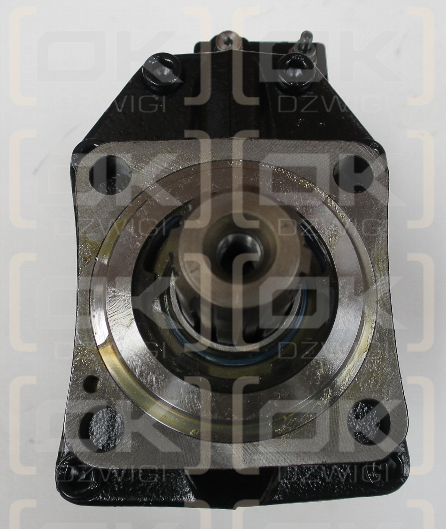 VP1-060-LG-ZP-T-000-350/25-LS