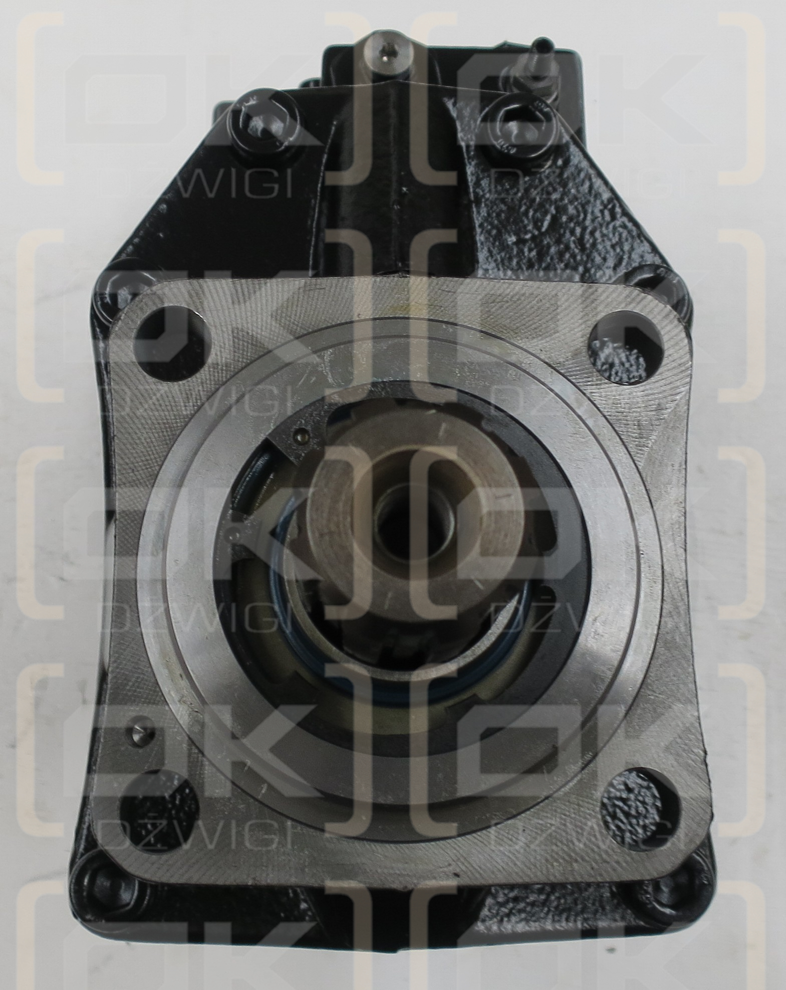 VP1-060-RG-ZP-T-000-350/25-LS