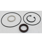 VITON-DICHTUNGSSATZ FÜR F11-006/010/012