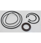 VITON-DICHTUNGSSATZ FÜR F12-030